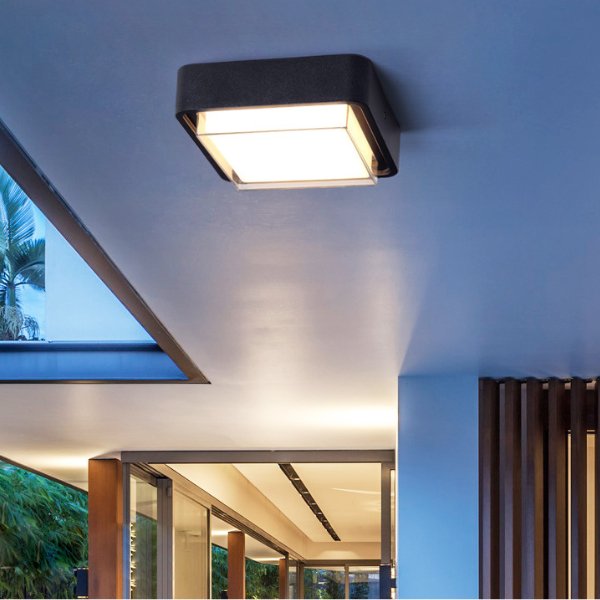 Amore Outdoor Surface Mount Light