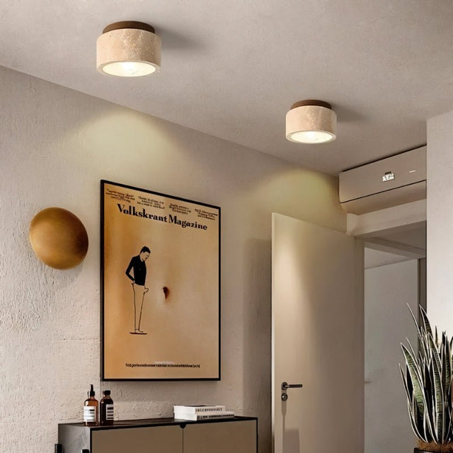 Rhone Ceiling Light