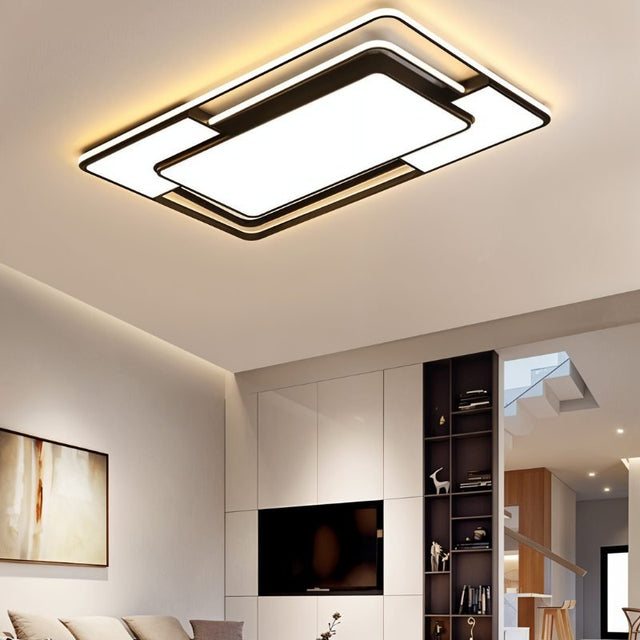 Fluke Ceiling Light
