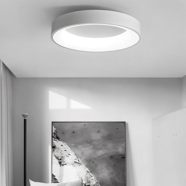 Stay Ceiling Light