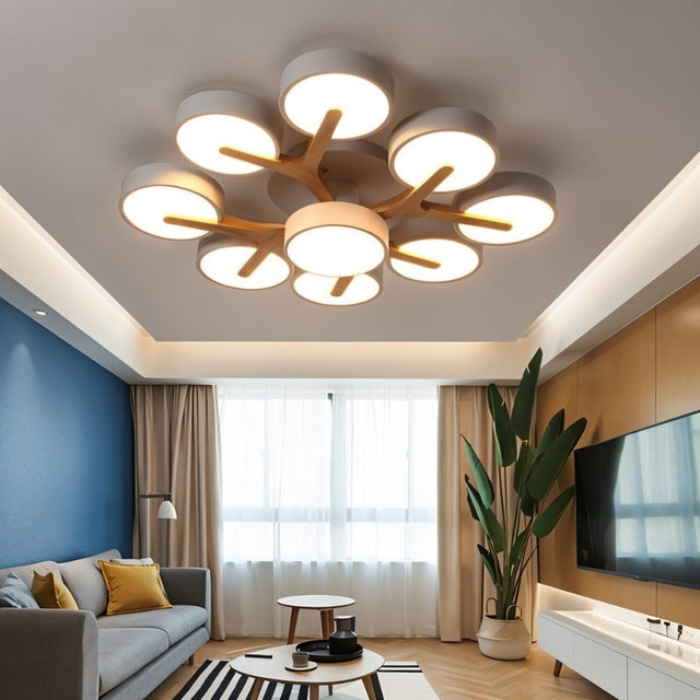 Boom Ceiling Light