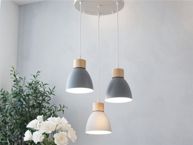 Transom Pendant Light