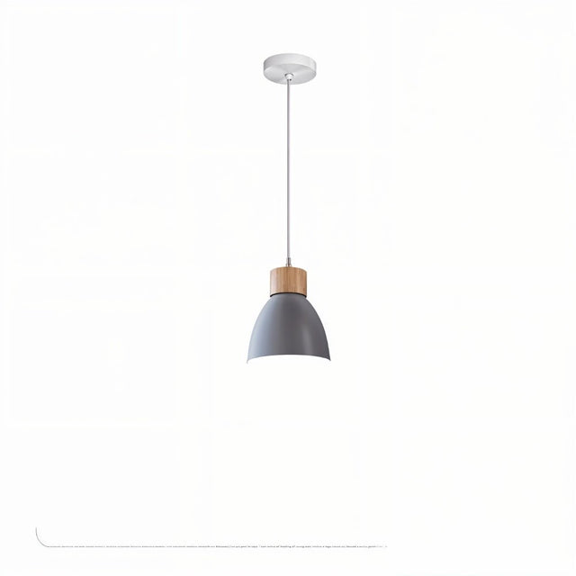 Transom Pendant Light