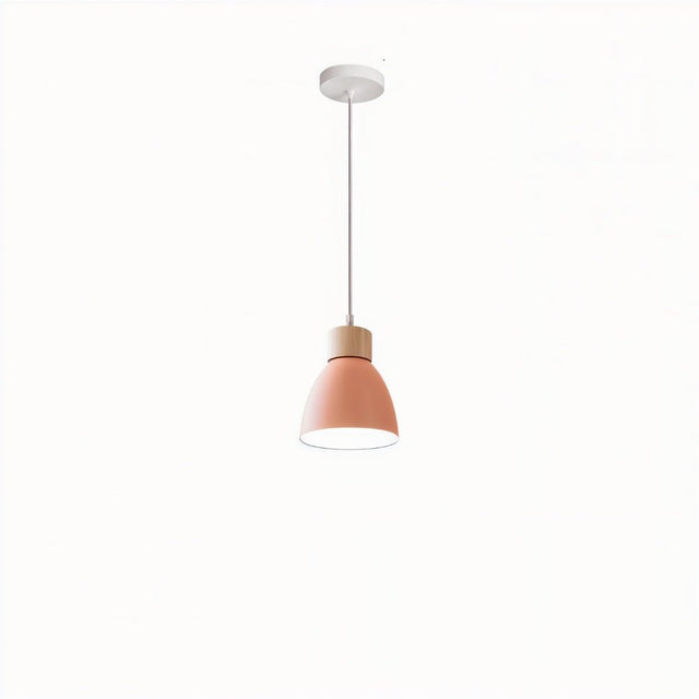 Transom Pendant Light
