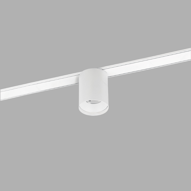 Ifs Track Light