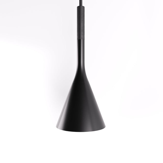 Trunk Pendant Light