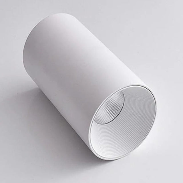 Wilhelm Downlight