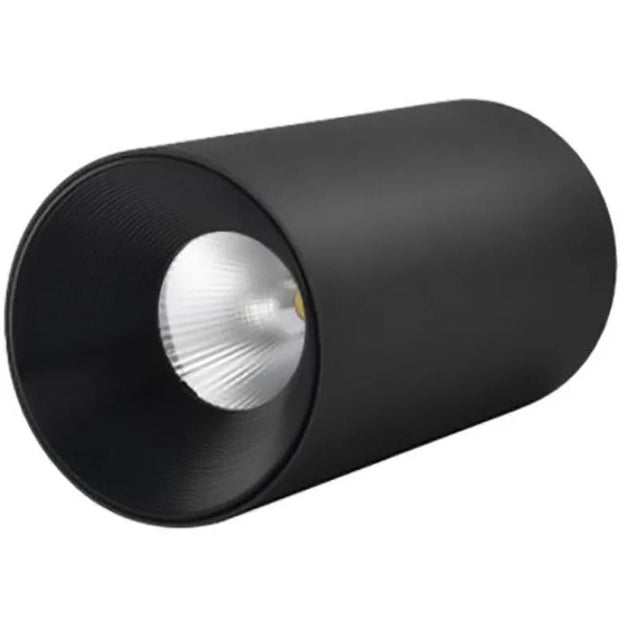 Wilhelm Downlight
