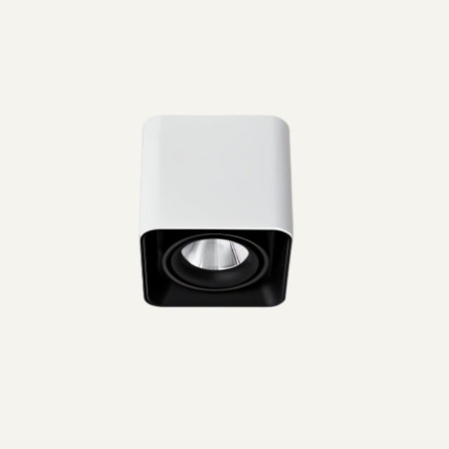 Tellervo Downlight