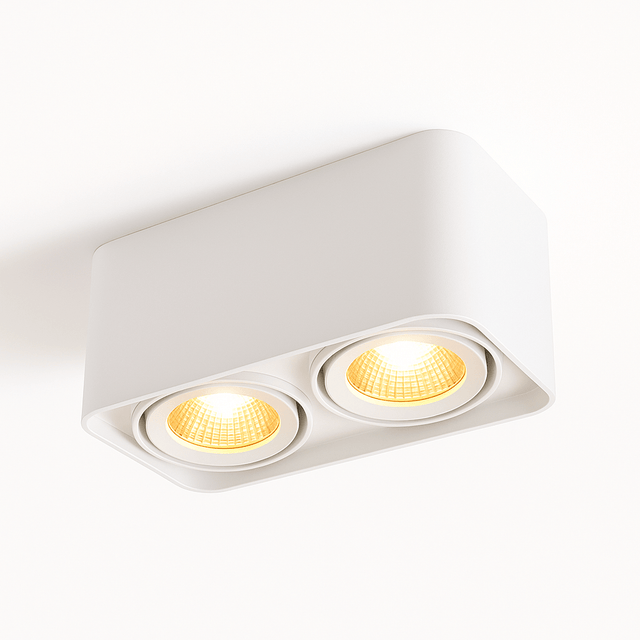 Tellervo Downlight