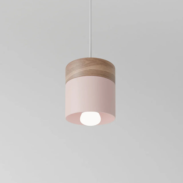 Exposure Pendant Light