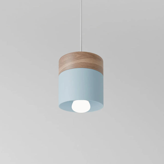Exposure Pendant Light