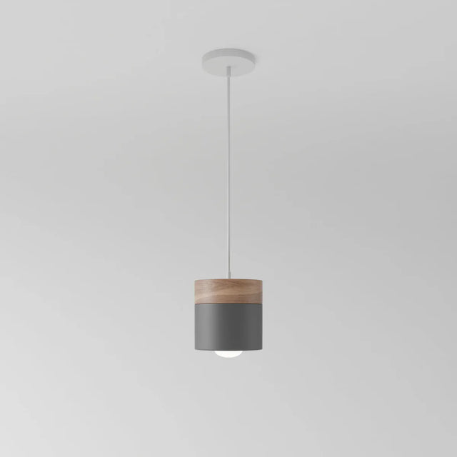 Exposure Pendant Light