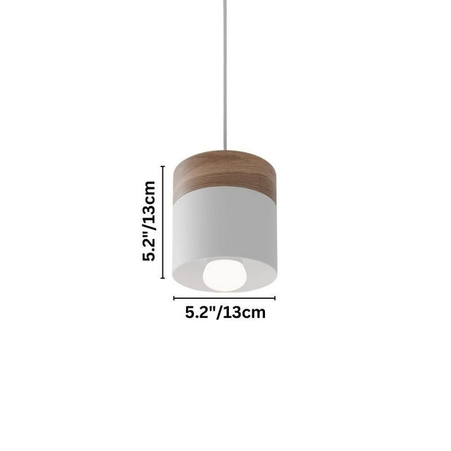 Exposure Pendant Light
