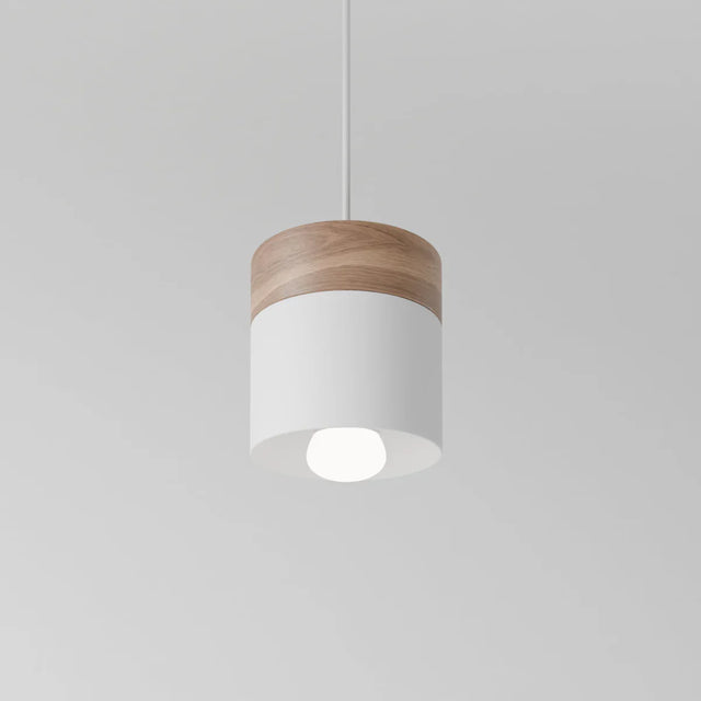 Exposure Pendant Light
