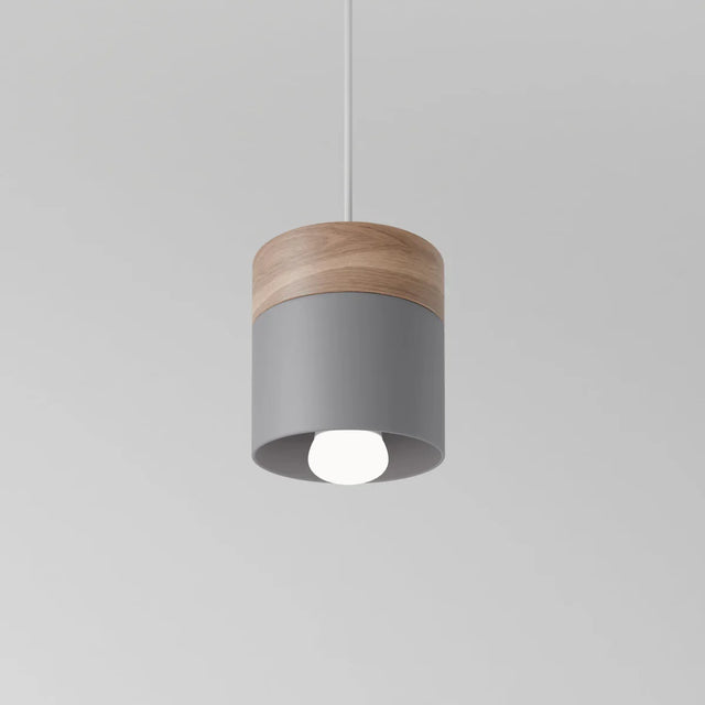 Exposure Pendant Light