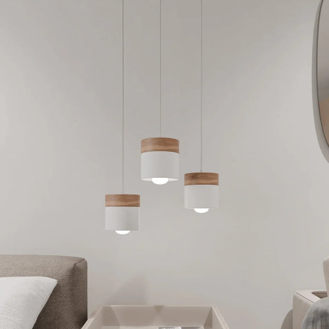 Exposure Pendant Light