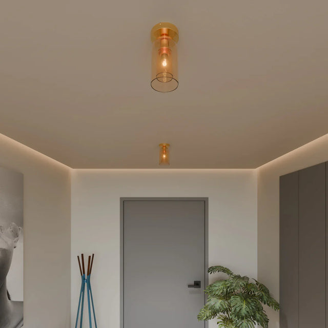 Rhon Ceiling Light