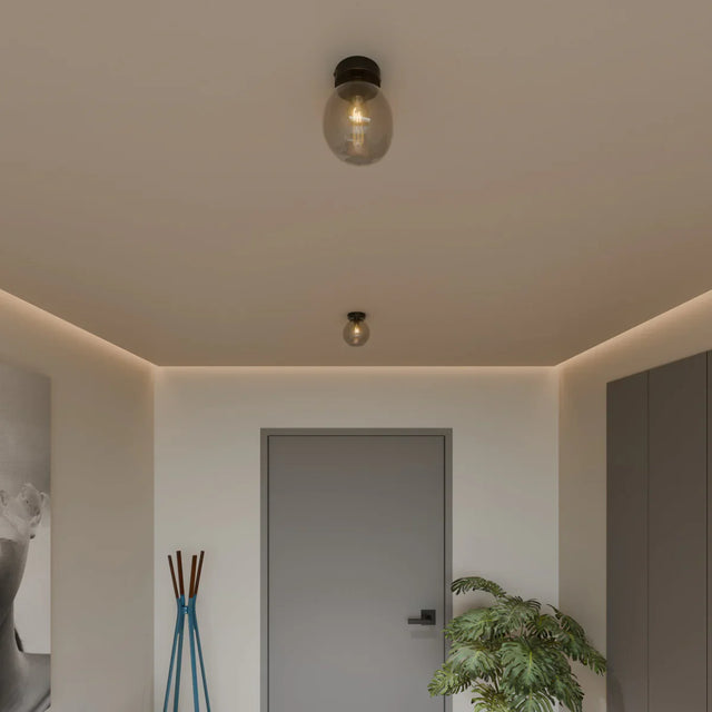 Rhon Ceiling Light