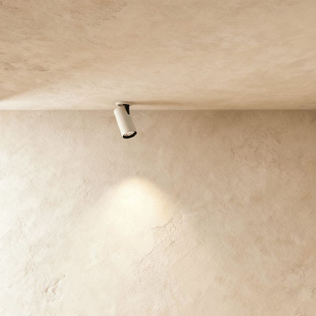 Caine Downlight
