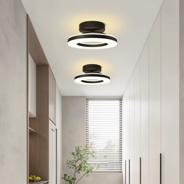 Vaugines Ceiling Light