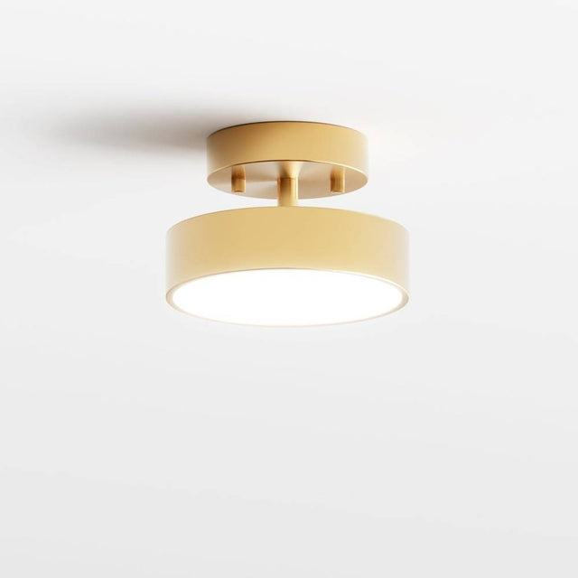 Bismuth Ceiling Light