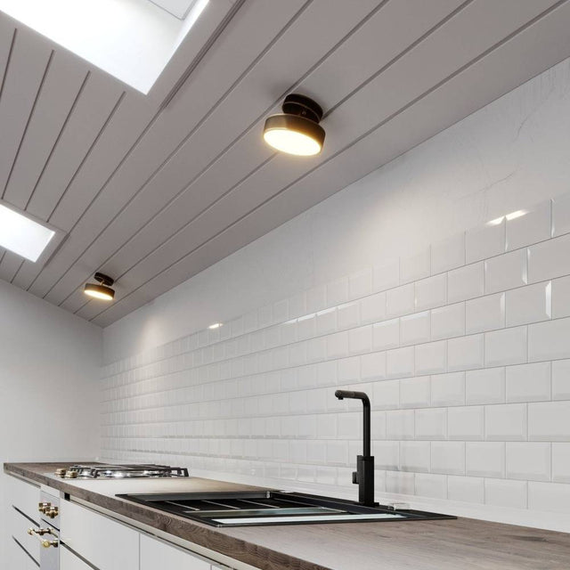 Bismuth Ceiling Light