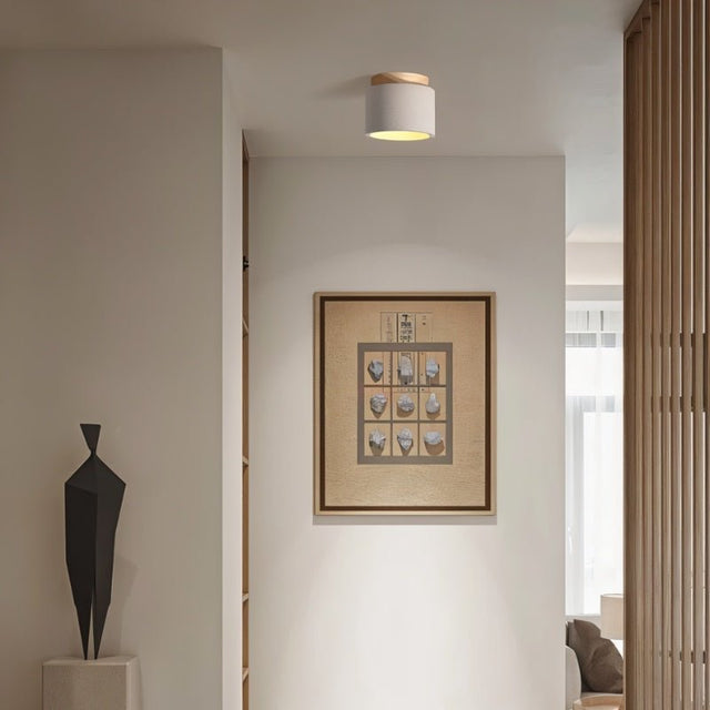 Trarbach Downlight