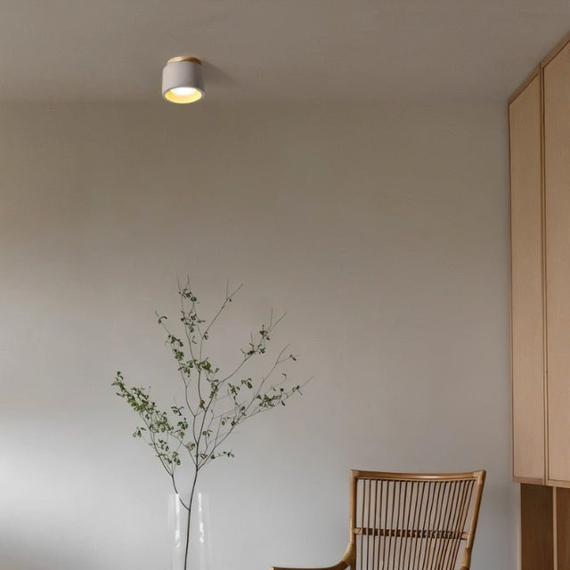 Trarbach Downlight