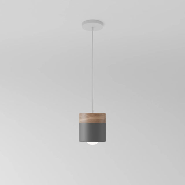 Exposure Pendant Light
