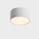 Genner Ceiling Light