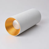 Gadstrup Ceiling Light