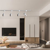 Aalum Ceiling Light