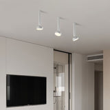 Ejby Ceiling Light