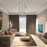 Aale Ceiling Light