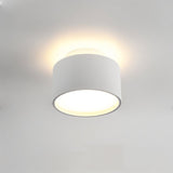 Eltang Ceiling Light
