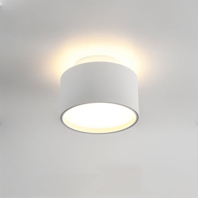 Eltang Ceiling Light