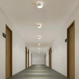 Eltang Ceiling Light