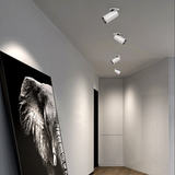 Caine Downlight