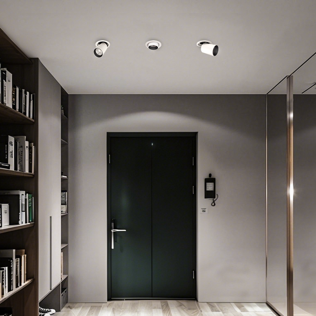 Caine Downlight
