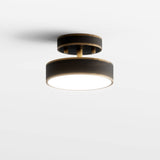 Bismuth Ceiling Light
