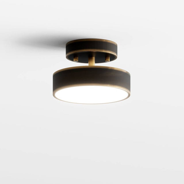 Bismuth Ceiling Light