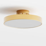 Bismuth Ceiling Light