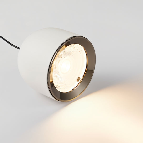 {"type":"root","children":[{"type":"paragraph","children":[{"type":"text","value":"Directional Light Distribution"}]}]}