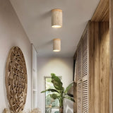 Rhone Ceiling Light