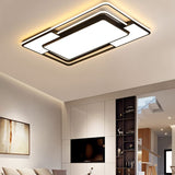 Fluke Ceiling Light