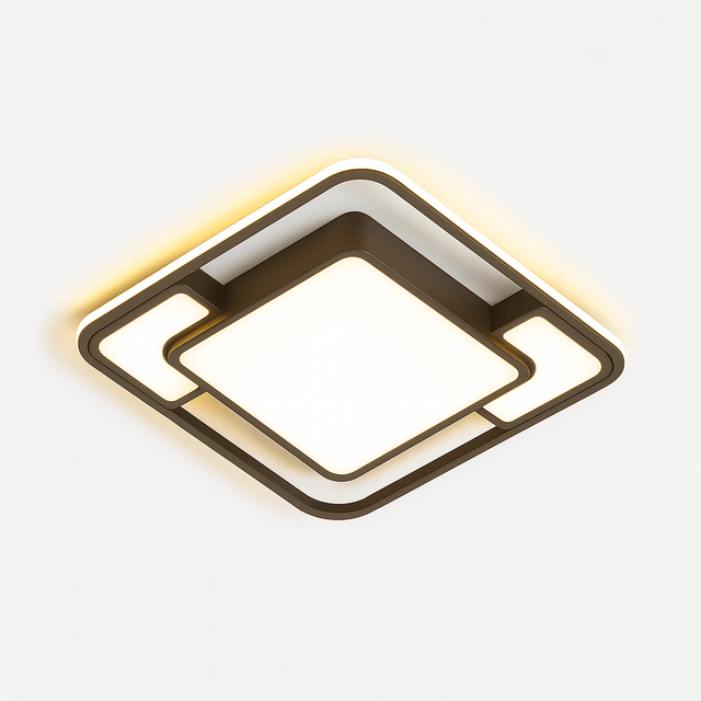 Fluke Ceiling Light