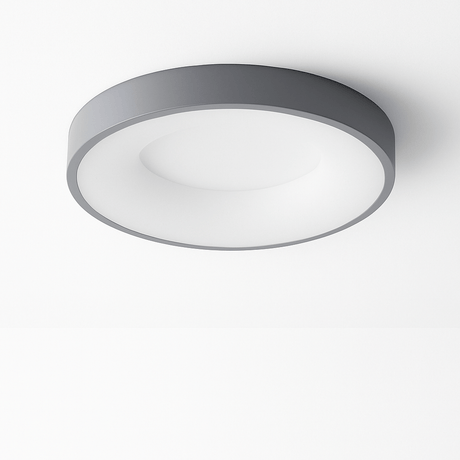 Stay Ceiling Light