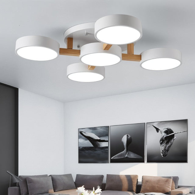 Boom Ceiling Light
