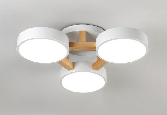 Boom Ceiling Light